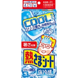 熱さまシート 強冷感 大人用 12枚