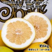 Guzman農園 『樹熟オロブロンコ』 アメリカ カリフォルニア産 柑橘 約6kg(目安として:10~20玉)