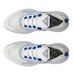エコーゴルフシューズ　ECCO 25.5 エコーゴルフシューズ ECCO 25.5 b0454 ECCO ゴルフシューズ