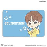PB2308070024 PetiTEEN スライドカードケース SEUNGKWAN カードケース PetiTEEN pb2308070024