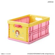 PB2310270123 PetiTEEN 折りたたみミニコンテナ JOSHUA PetiTEEN pb2310270123