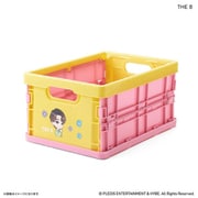 PB2310270128 PetiTEEN 折りたたみミニコンテナ THE 8 PetiTEEN pb2310270128