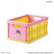 PB2310270132 PetiTEEN 折りたたみミニコンテナ VERNON PetiTEEN pb2310270132