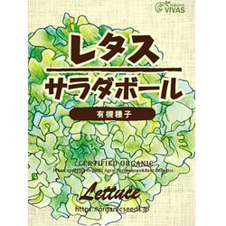 レタス（サラダボール）（VIVAS） 約240粒
