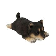 H21108-1 [マグネット うつぶせ 黒柴犬]