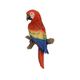 H23316 [マグネット 赤コンゴウインコ]