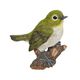 H23300-4 [マグネット ロビン鳥]