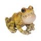 H20262 [マグネット 喉を膨らますニホンアマガエル]