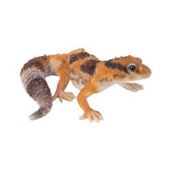 H21170-2 [マグネット ヒョウモントカゲモドキ オレンジブラウン]
