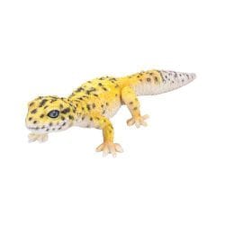 H17338 [オーナメント ヒョウモントカゲモドキ 黄]
