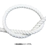 カットロープ クレモナS白 9mm 00011209