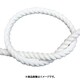 カットロープ クレモナS白 12mm 00011212