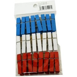 新ウッドピンチフレンチカラー24個入 00550011