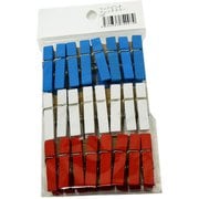新ウッドピンチフレンチカラー24個入 00550011