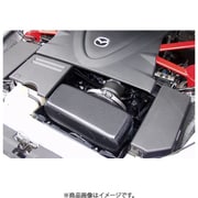 SEA1 V5 900 [ラムエアインテークシステム RX-8 全車]