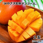 大玉「みやざき完熟マンゴー」宮崎県産 3L 1玉 （450～509g） 簡易箱 ※常温または冷蔵 [ご注文受付は2025年6月30日（月）決済完了分まで]