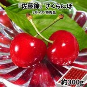 『佐藤錦』山形県産温室さくらんぼ Lサイズ 特秀品 約300g 化粧箱 ※常温 [ご注文受付は2025年4月24日（木）決済完了分まで]