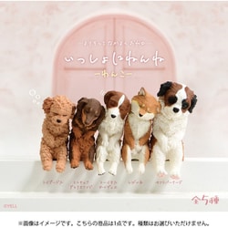 いっしょにねんね わんこ 1個 [コレクショントイ]
