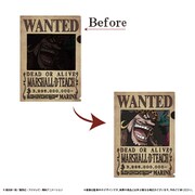 ONE PIECE 手配書トリックファイル vol.4 黒ひげ