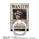 ONE PIECE 手配書ホールドリング vol.4 黒ひげ