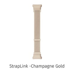 LACGVBA/02 [MOTHER Bracelet交換用ベルト StrapLink シャンパンゴールド]