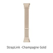 LACGVBA/02 [MOTHER Bracelet交換用ベルト StrapLink シャンパンゴールド]