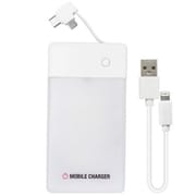 乾電池式充電器 1台4役(Lightning/Type-C/microUSB/USB out)+LEDライト BJ-MUSB6AN WH