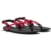 ジェネシス ユニセックス サンダル ラズベリー（RASP） M5/W6（23cm） GEN-RASP