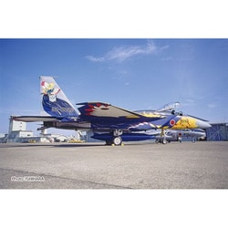 AC-100 1/72 航空自衛隊 F-15J イーグル 第204飛行隊 F-15改編10周年記念塗装機 “ミスティックイーグル” 1995 [組立式プラスチックモデル]
