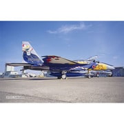 AC-100 1/72 航空自衛隊 F-15J イーグル 第204飛行隊 F-15改編10周年記念塗装機 “ミスティックイーグル” 1995 [組立式プラスチックモデル]