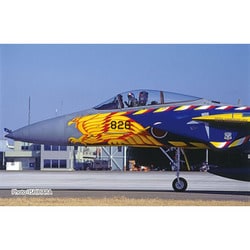 戦闘機プラモデル完成品プラッツ1/72F-15イーグル Amazon | プラッツ(PLATZ) 1/72 航空自衛隊 戦闘機 F-15J