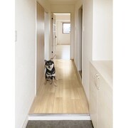 PRO-0230 [ペット用 防滑・消臭・防水廊下敷き 木目柄 80cm×300cm ベージュ ズレ防止シート付]