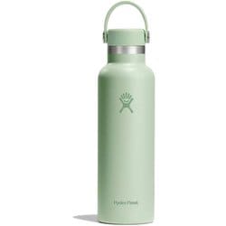 21 oz Standard Mouth 水筒 マグボトル 621ml Aloe 8900120145251