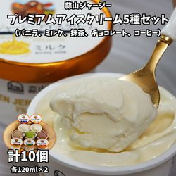 蒜山ジャージープレミアムアイスクリーム5種セット（バニラ、ミルク、抹茶、チョコレート、コーヒー）各120ml×2 計10個 ※冷凍