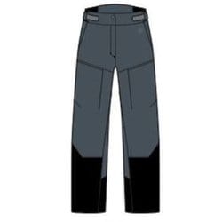 W's G-AXIS Pants レディース スノーパンツ ピューター×ブラック（PB） サイズ2 GW35360