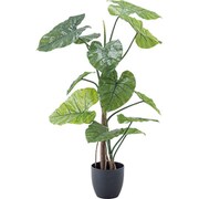 フェイクグリーン クワズイモ 約W57×D57×H117cm GRN-16