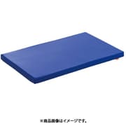 介護 マット L 中～大型犬 [犬用 介護用品]