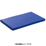 介護 マット M 小～中型犬 [犬用 介護用品]