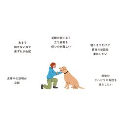 リラクッション　S ブルー 71BFmbtsNCL._UF894,1000_QL80_.jpg