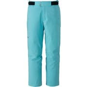DEMO SOLID SKI PANTS ユニセックス スノーパンツ (33) Lサイズ Z2MFC321