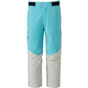 DEMO SOLID SKI PANTS ユニセックス スノーパンツ (72) Sサイズ Z2MFC321