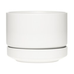 ヨドバシ.com - ARABIA アラビア 【国内正規品】 SN プラント ヨドバシ.com - ARABIA アラビア 【国内正規品】 SN プラント