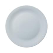 【国内正規品】 マイニオ プレート 皿 19cm ウィンターブルー 1075980