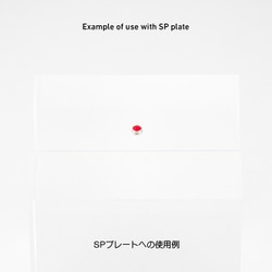品名はP20M（ピンクのやつ） 有）フローラ・ヤノオーキッド：品種紹介 バンダピンク系