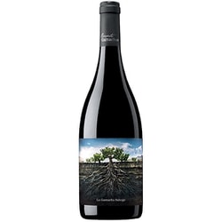 サルバヘ・デ・モンカヨ 750ml [赤ワイン]
