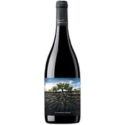 サルバヘ・デ・モンカヨ 750ml [赤ワイン]