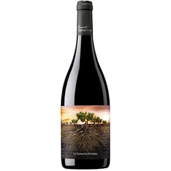 オルビダーダ・デ・アラゴン 750ml [赤ワイン]
