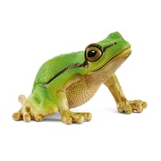 14882 [WILD LIFE ヨーロッパアマガエル]