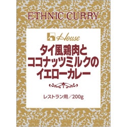 タイ風鶏肉とココナッツミルクのイエローカレー レストラン用 200g