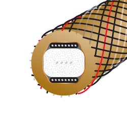 WIRE WORLD GSV5RCA ゴールドスタ－ライトシリ－ズ5 1m WIRE WORLD GSV5RCA ゴールドスタ－ライトシリ－ズ5 1m